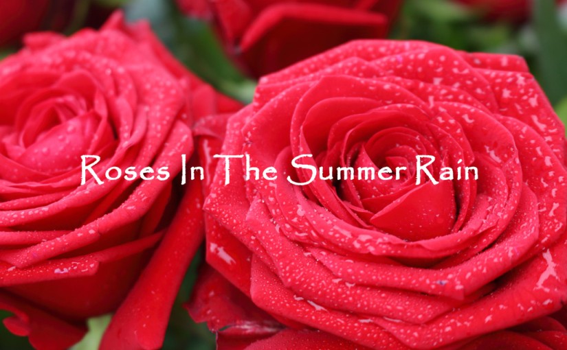 Roses In The Summer Rain